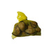 Sticky Image