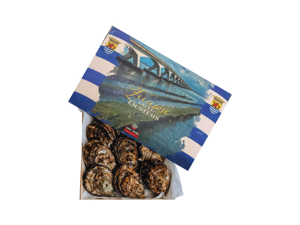Zeeuwse tafeloesters II 50 stuks