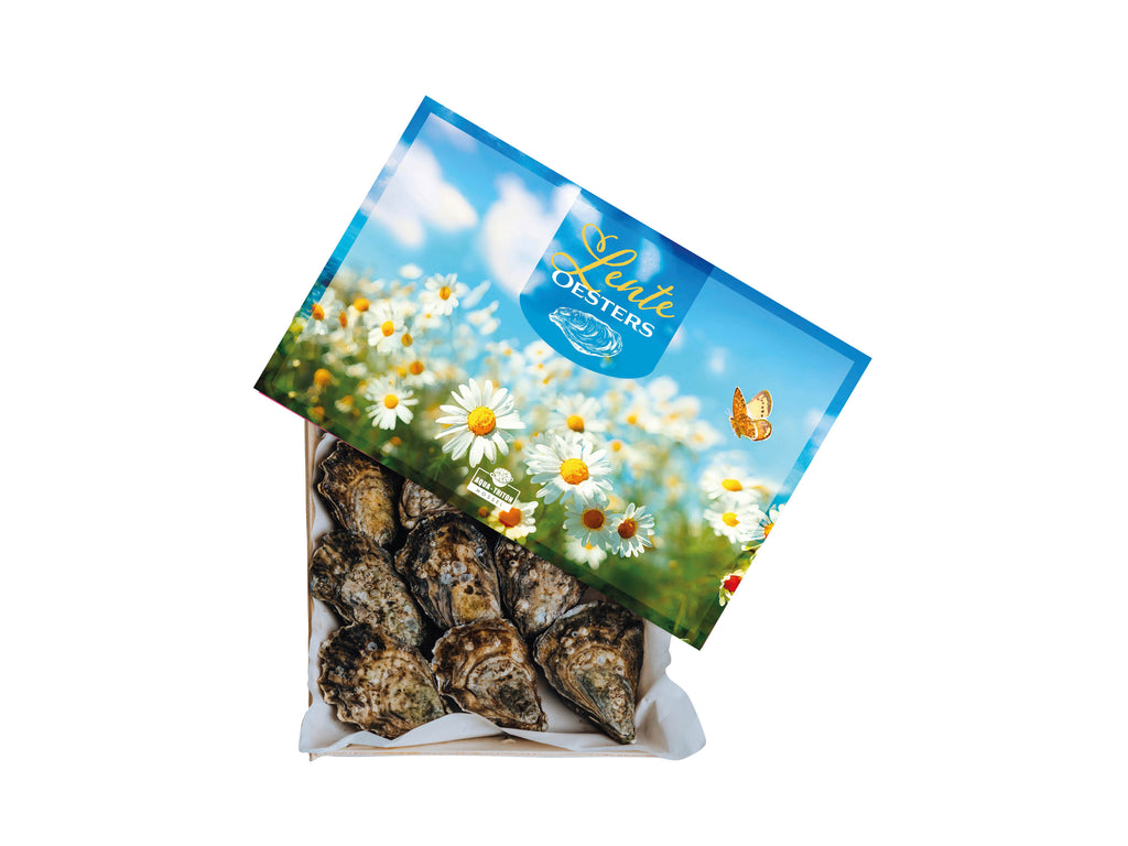 Lente oesters III (12.24,48 stuks)