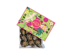 Umami III (12,24,48 Stuks)