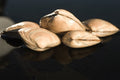 Sticky Image
